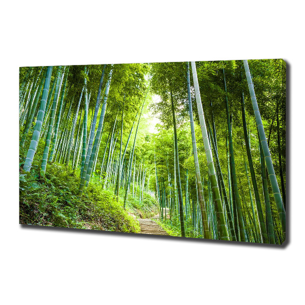 Foto en lienzo con acabado profesional horizontal bosque de bambú
