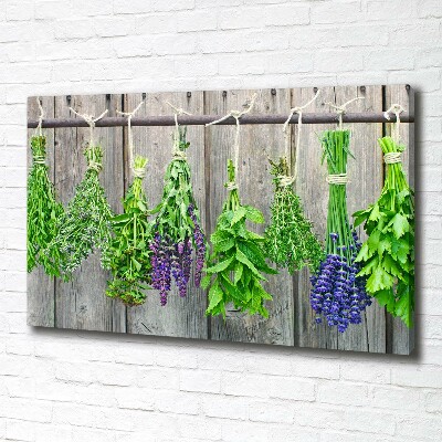 Cuadro canvas moderno de gran formato horizontal Hierbas en una cuerda