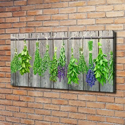 Cuadro canvas moderno de gran formato horizontal Hierbas en una cuerda