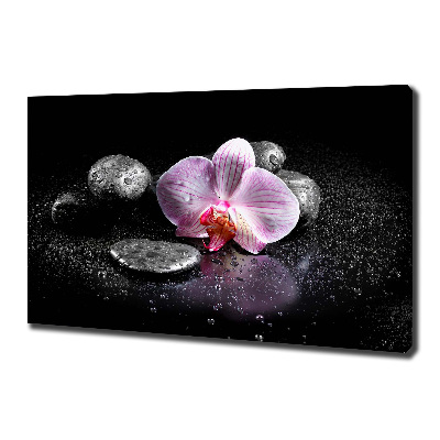 Cuadro canvas moderno de gran formato horizontal Orquídea
