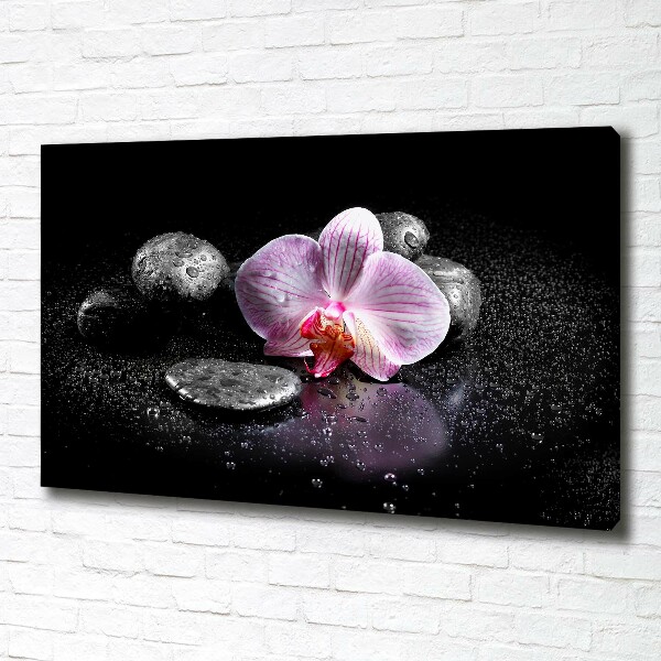 Cuadro canvas moderno de gran formato horizontal Orquídea