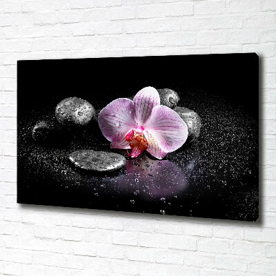Cuadro canvas moderno de gran formato horizontal Orquídea
