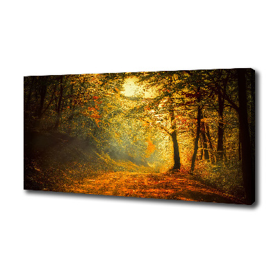 Cuadro canvas moderno de gran formato horizontal Bosque en otoño