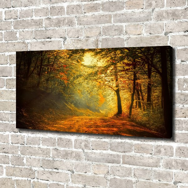 Cuadro canvas moderno de gran formato horizontal Bosque en otoño