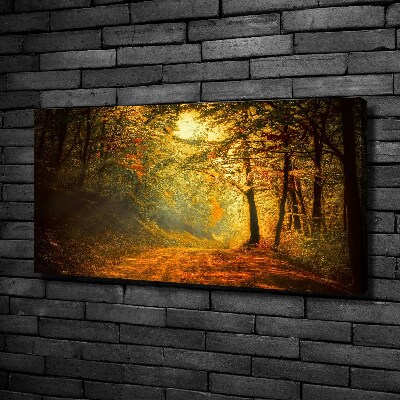 Cuadro canvas moderno de gran formato horizontal Bosque en otoño