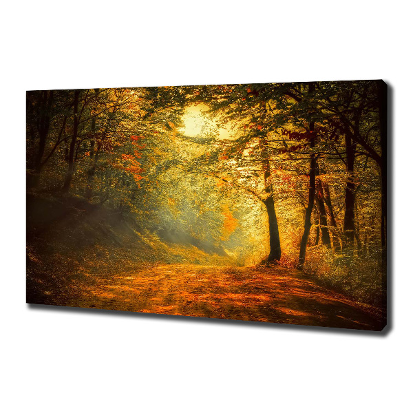 Cuadro canvas moderno de gran formato horizontal Bosque en otoño