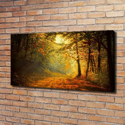 Cuadro canvas moderno de gran formato horizontal Bosque en otoño