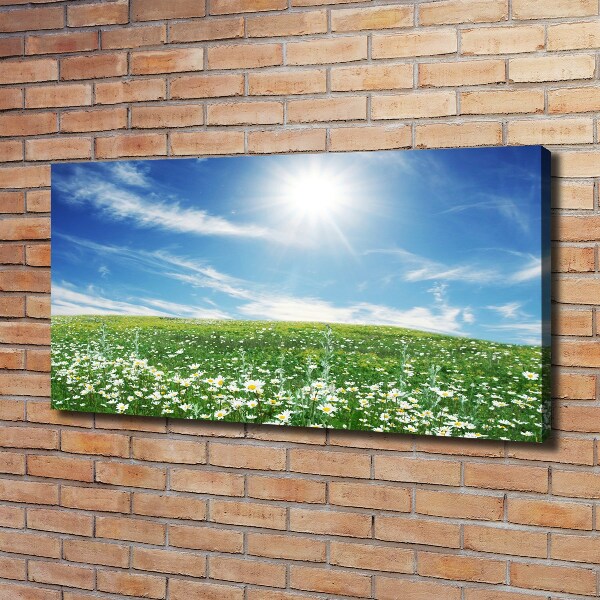 Foto en lienzo con acabado profesional horizontal Prado