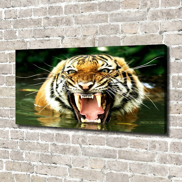 Fotocuadro en lienzo de alta calidad horizontal Tigre rugiente