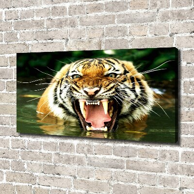 Fotocuadro en lienzo de alta calidad horizontal Tigre rugiente