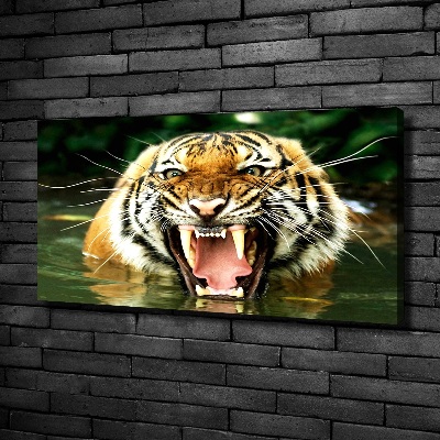 Fotocuadro en lienzo de alta calidad horizontal Tigre rugiente
