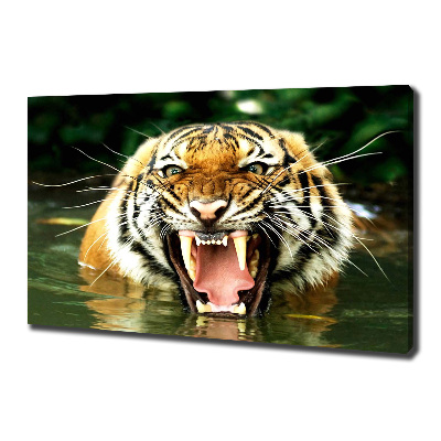 Fotocuadro en lienzo de alta calidad horizontal Tigre rugiente