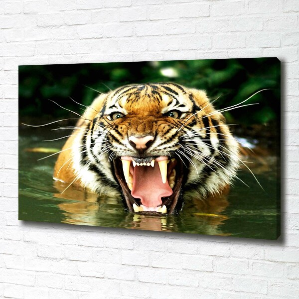 Fotocuadro en lienzo de alta calidad horizontal Tigre rugiente