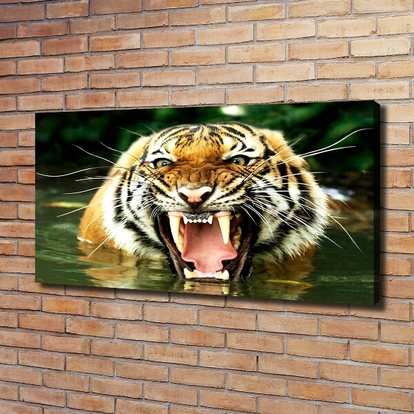 Fotocuadro en lienzo de alta calidad horizontal Tigre rugiente