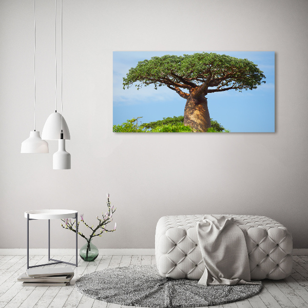 Duży foto obraz na ścianę canvas Baobab