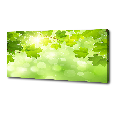 Foto en lienzo con acabado profesional horizontal hojas de castaño de Indias