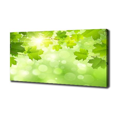 Foto en lienzo con acabado profesional horizontal hojas de castaño de Indias