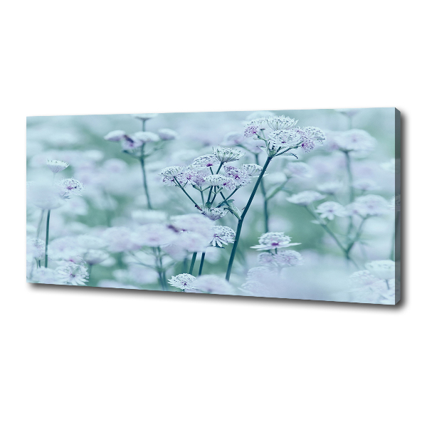 Cuadro canvas con impresión uv duradera horizontal Mantlewort mayor