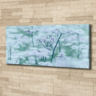 Cuadro canvas con impresión uv duradera horizontal Mantlewort mayor