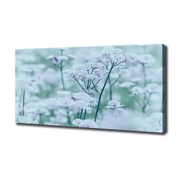 Cuadro canvas con impresión uv duradera horizontal Mantlewort mayor