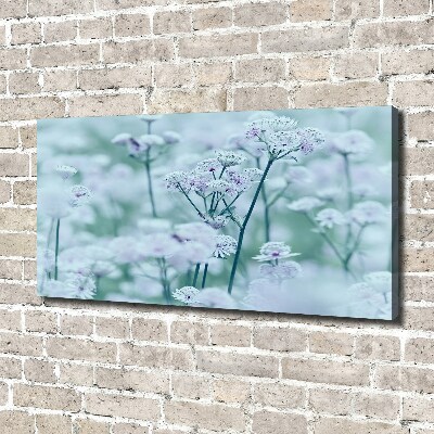 Cuadro canvas con impresión uv duradera horizontal Mantlewort mayor