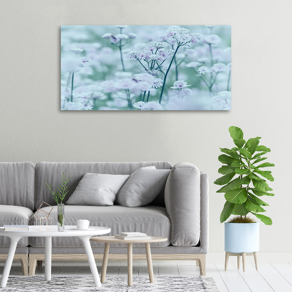 Cuadro canvas con impresión uv duradera horizontal Mantlewort mayor