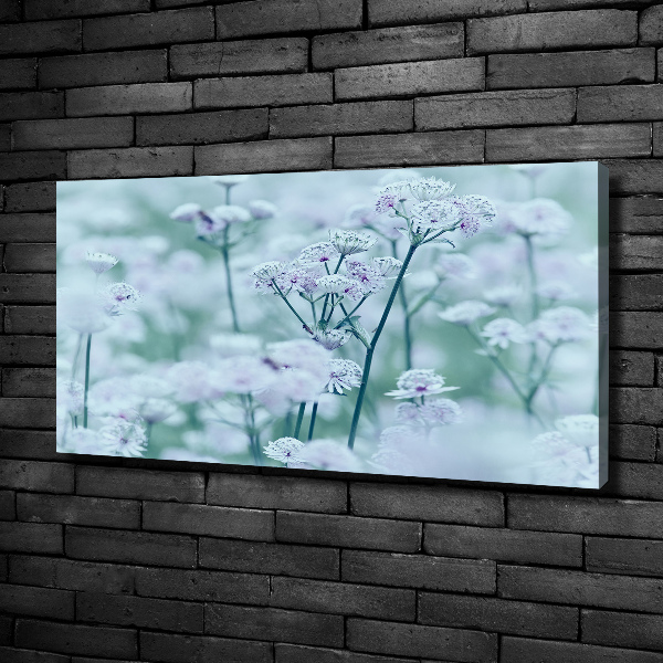 Cuadro canvas con impresión uv duradera horizontal Mantlewort mayor