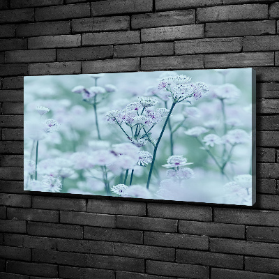 Cuadro canvas con impresión uv duradera horizontal Mantlewort mayor