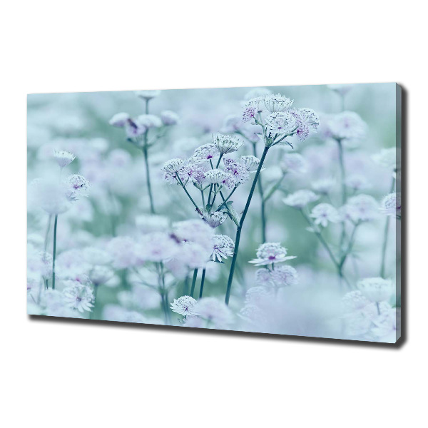 Cuadro canvas con impresión uv duradera horizontal Mantlewort mayor