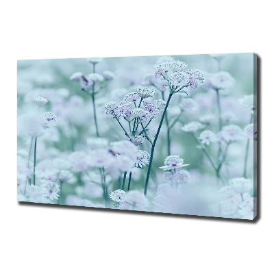 Cuadro canvas con impresión uv duradera horizontal Mantlewort mayor