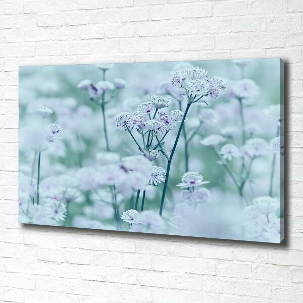 Cuadro canvas con impresión uv duradera horizontal Mantlewort mayor