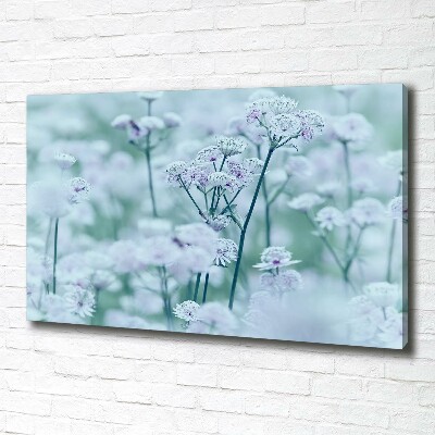 Cuadro canvas con impresión uv duradera horizontal Mantlewort mayor