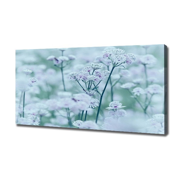 Cuadro canvas con impresión uv duradera horizontal Mantlewort mayor