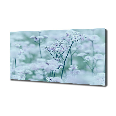 Cuadro canvas con impresión uv duradera horizontal Mantlewort mayor