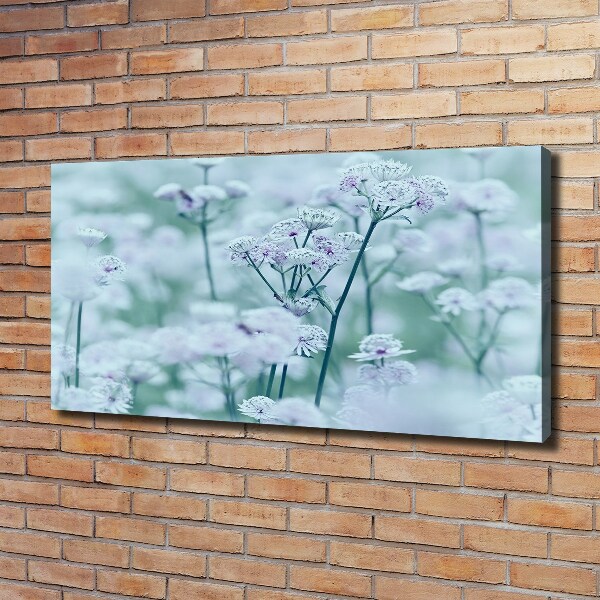 Cuadro canvas con impresión uv duradera horizontal Mantlewort mayor