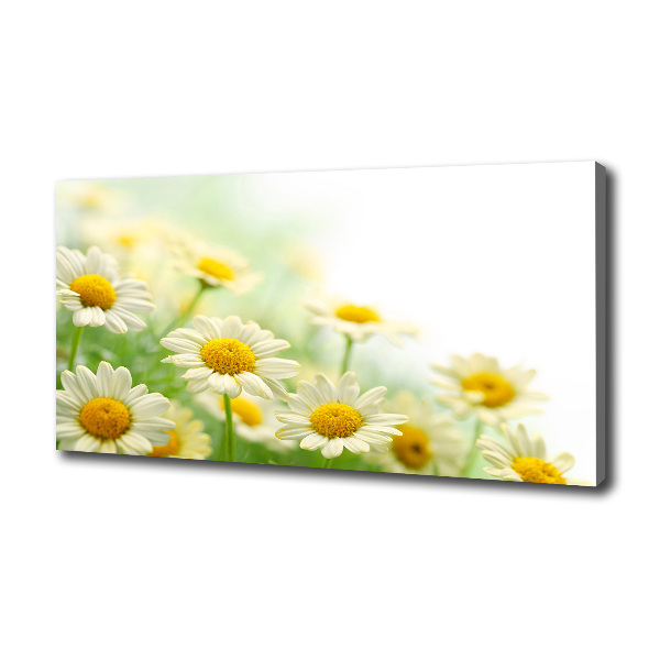 Cuadro canvas moderno de gran formato horizontal margaritas