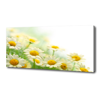Cuadro canvas moderno de gran formato horizontal margaritas