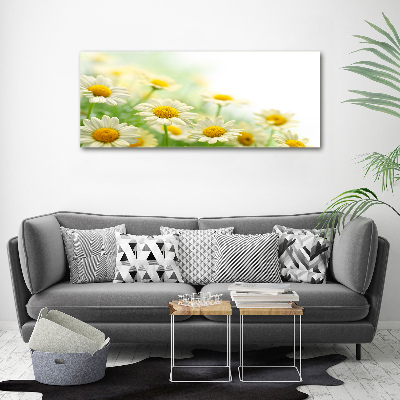 Cuadro canvas moderno de gran formato horizontal margaritas