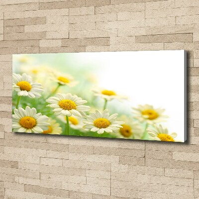 Cuadro canvas moderno de gran formato horizontal margaritas