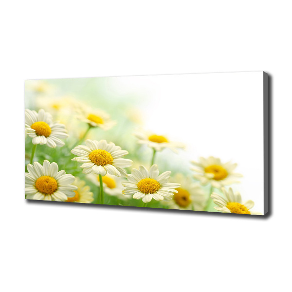 Cuadro canvas moderno de gran formato horizontal margaritas