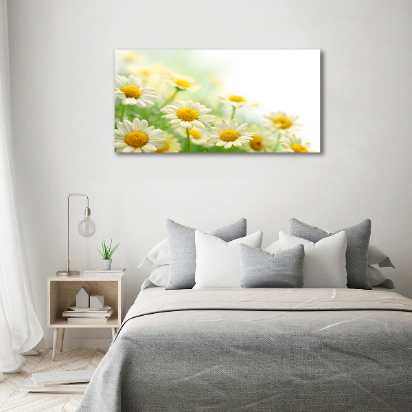 Cuadro canvas moderno de gran formato horizontal margaritas