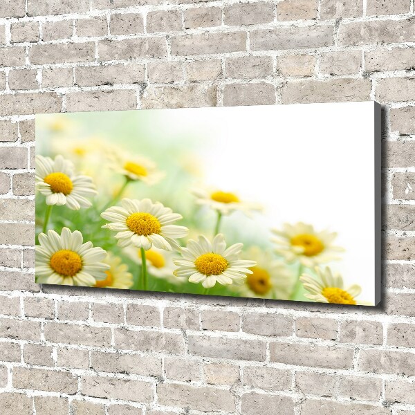 Cuadro canvas moderno de gran formato horizontal margaritas