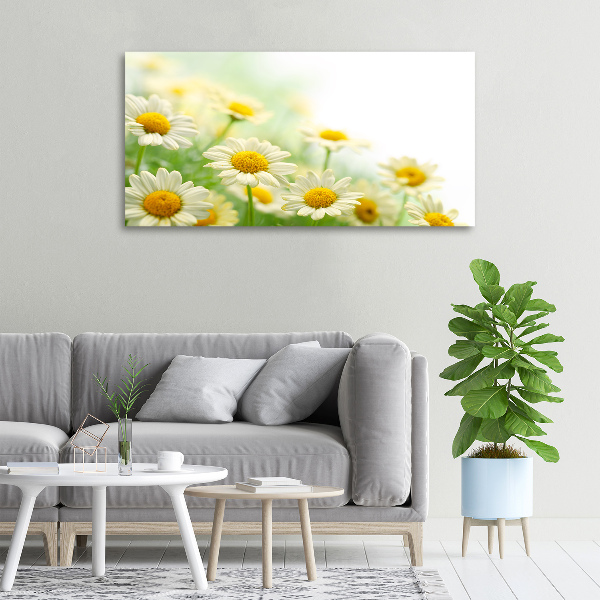 Cuadro canvas moderno de gran formato horizontal margaritas