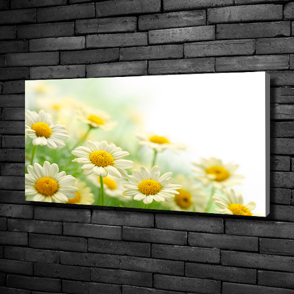 Cuadro canvas moderno de gran formato horizontal margaritas