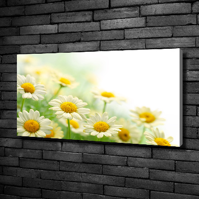 Cuadro canvas moderno de gran formato horizontal margaritas