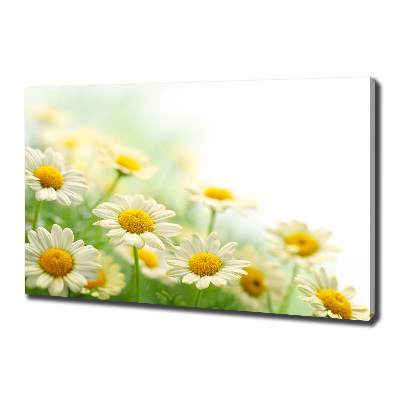 Cuadro canvas moderno de gran formato horizontal margaritas