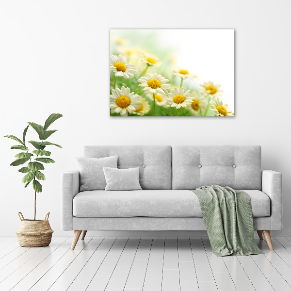 Cuadro canvas moderno de gran formato horizontal margaritas