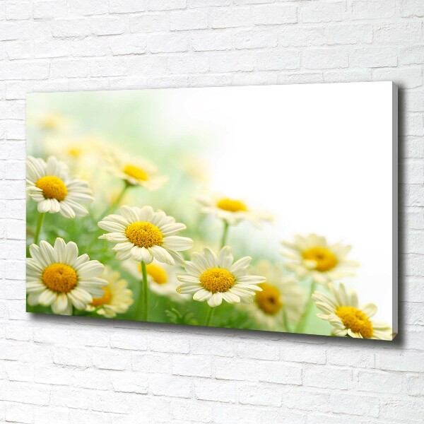 Cuadro canvas moderno de gran formato horizontal margaritas
