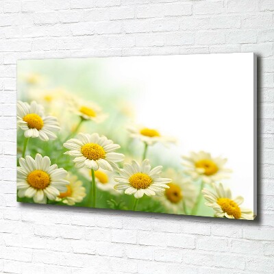 Cuadro canvas moderno de gran formato horizontal margaritas
