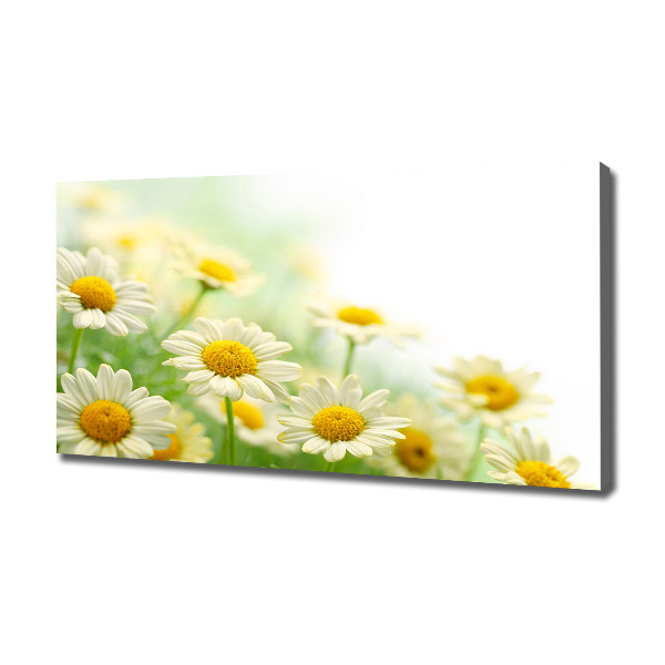 Cuadro canvas moderno de gran formato horizontal margaritas